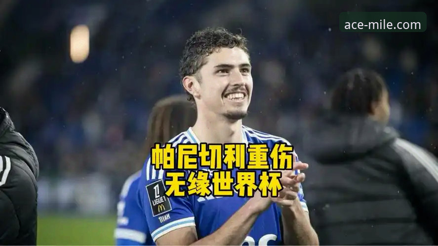 阿根廷新星陨落：帕尼切利重伤无缘世界杯深度评测